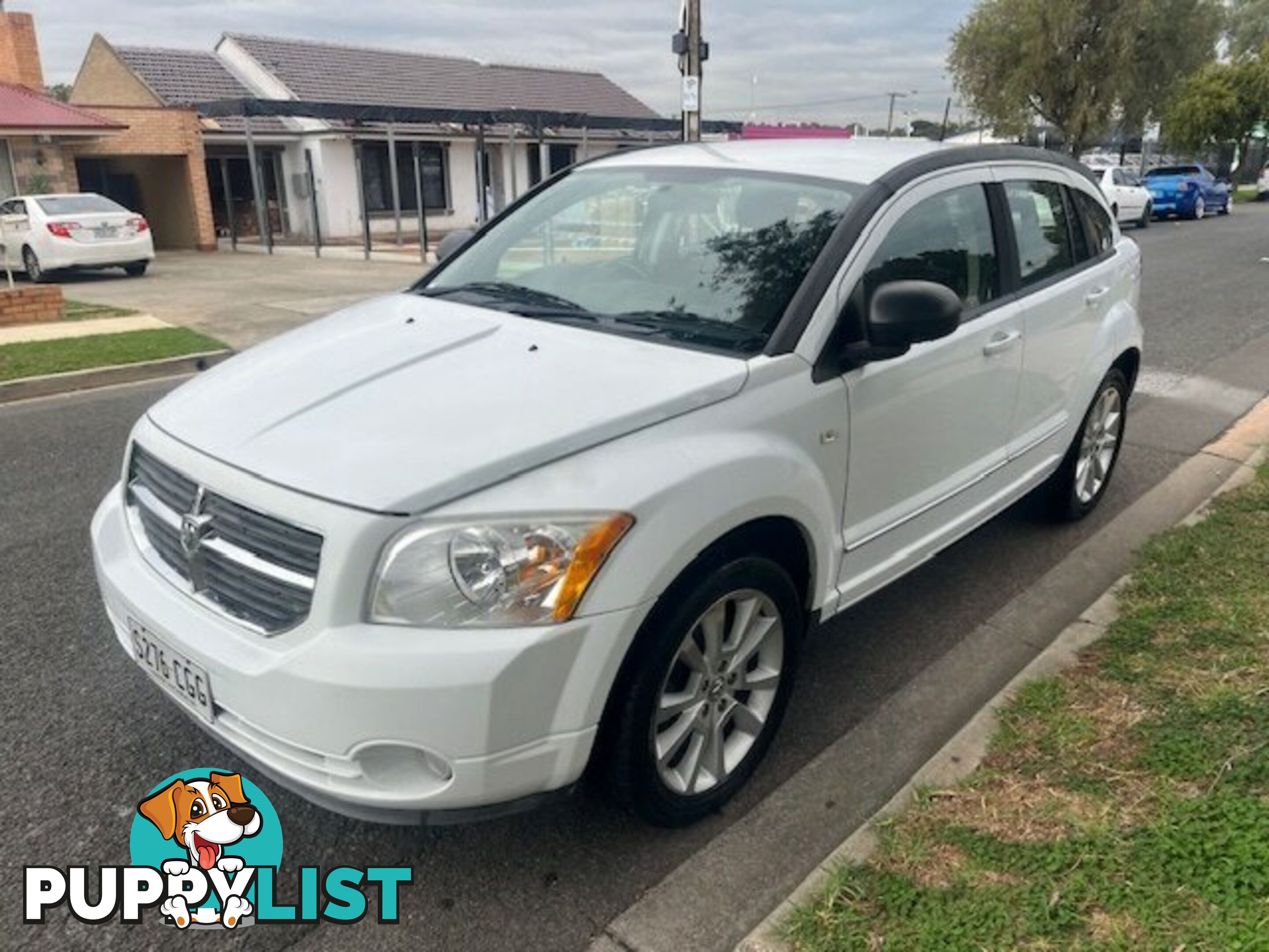 2011 DODGE CALIBER PM  HATCHBACK