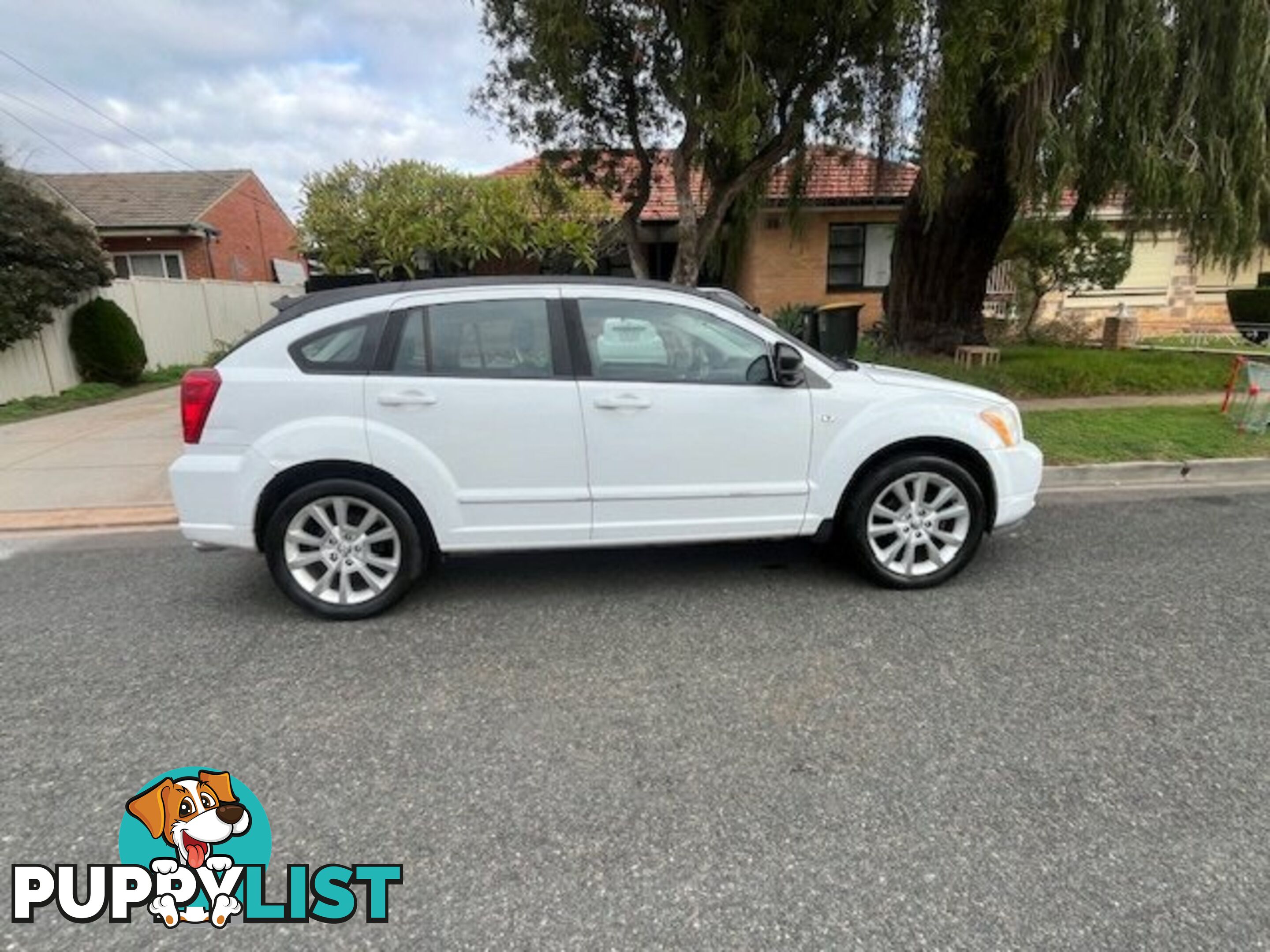 2011 DODGE CALIBER PM  HATCHBACK