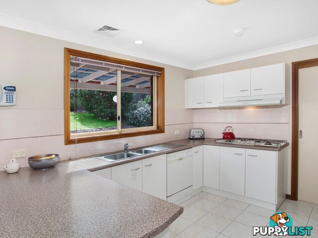 3 Charlotte Place BEACON HILL NSW 2100