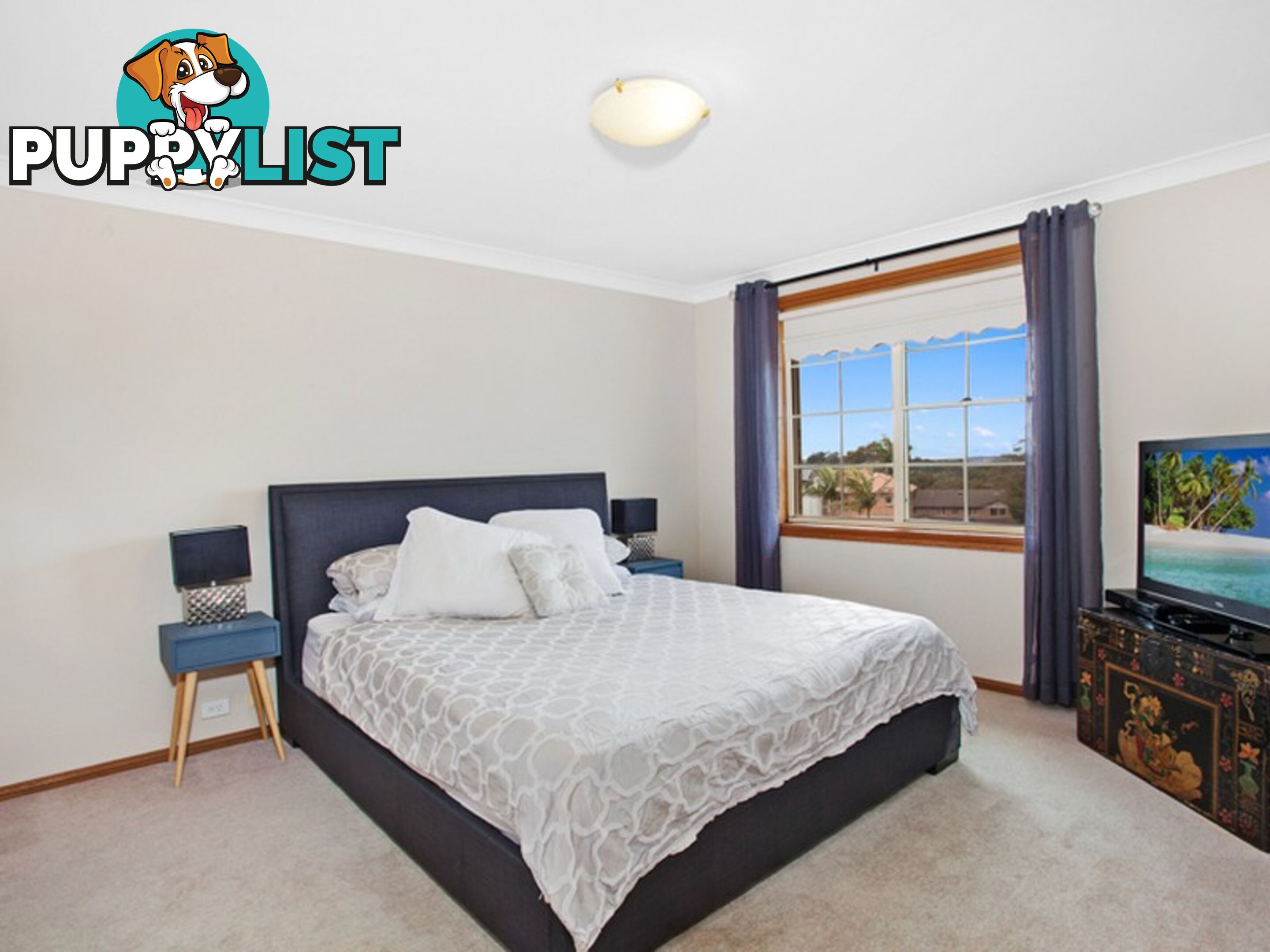 3 Charlotte Place BEACON HILL NSW 2100