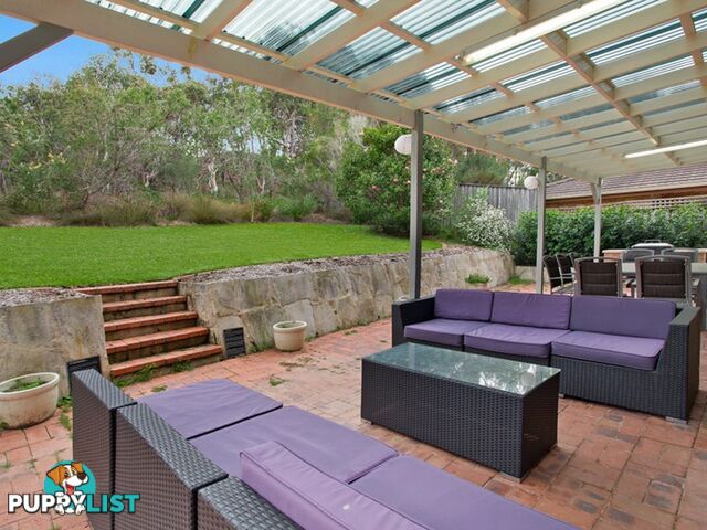 3 Charlotte Place BEACON HILL NSW 2100