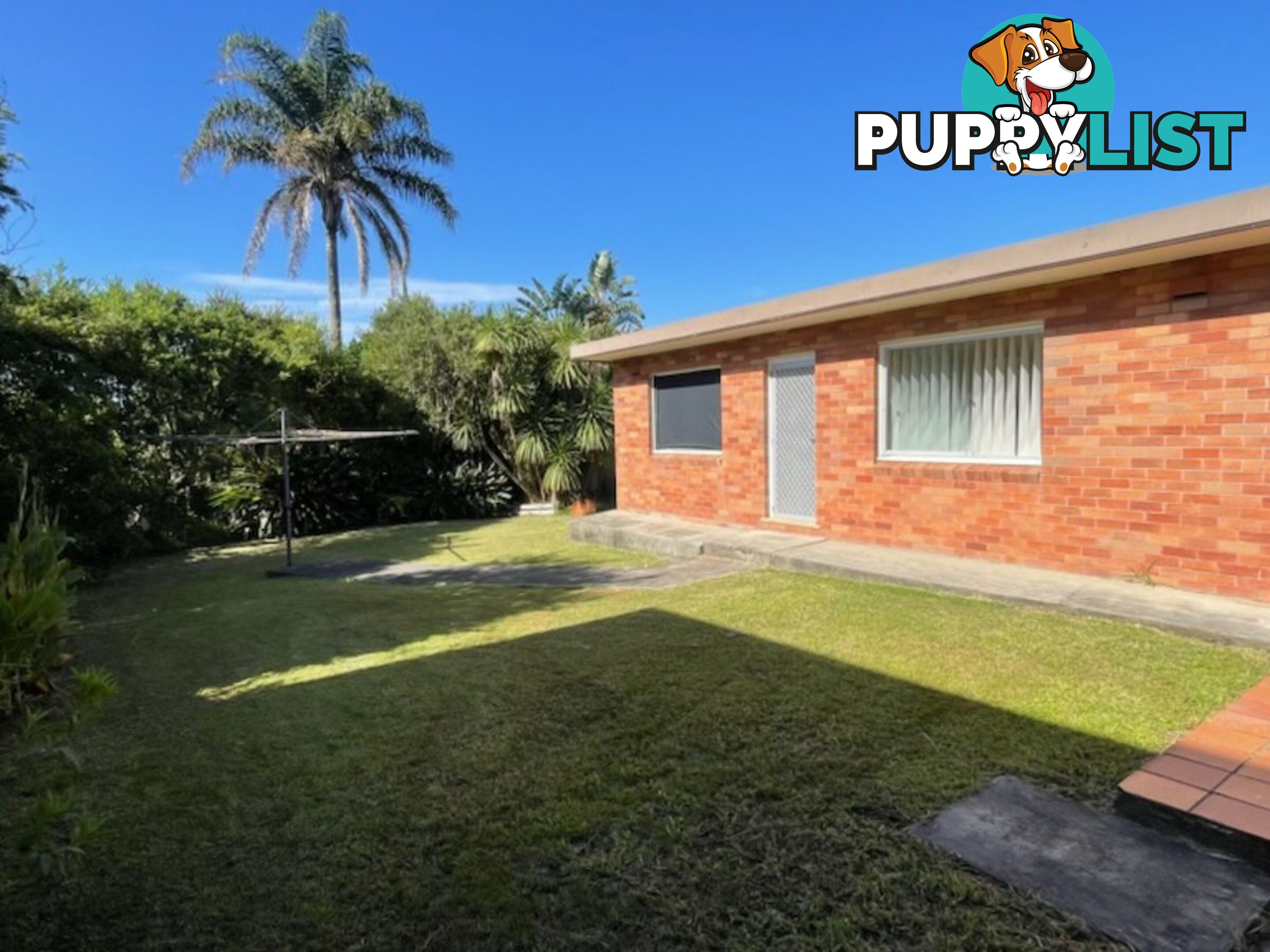 43 Cumberland Avenue COLLAROY NSW 2097