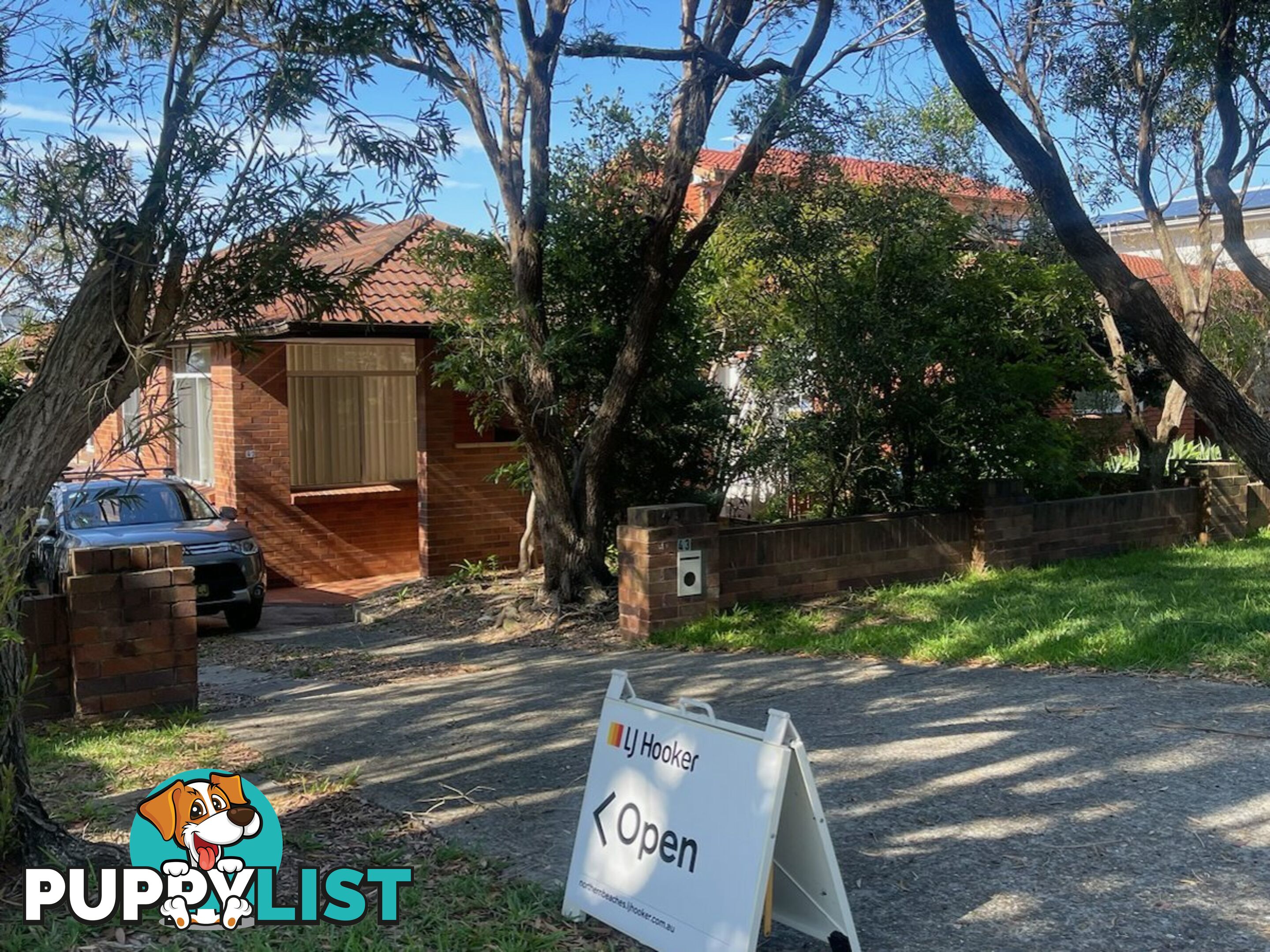 43 Cumberland Avenue COLLAROY NSW 2097