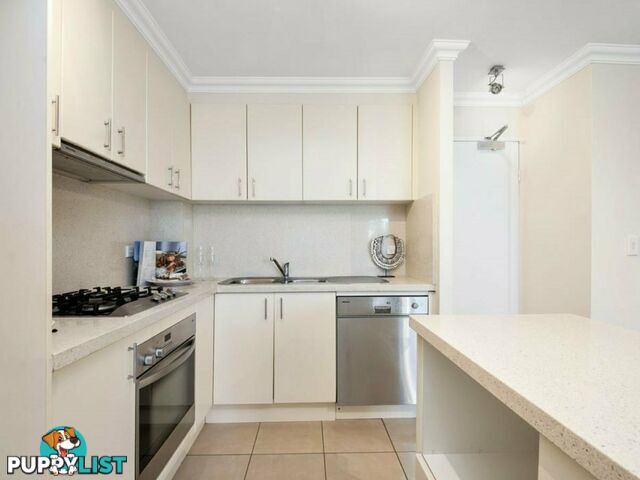 6/146 Ocean Street NARRABEEN NSW 2101