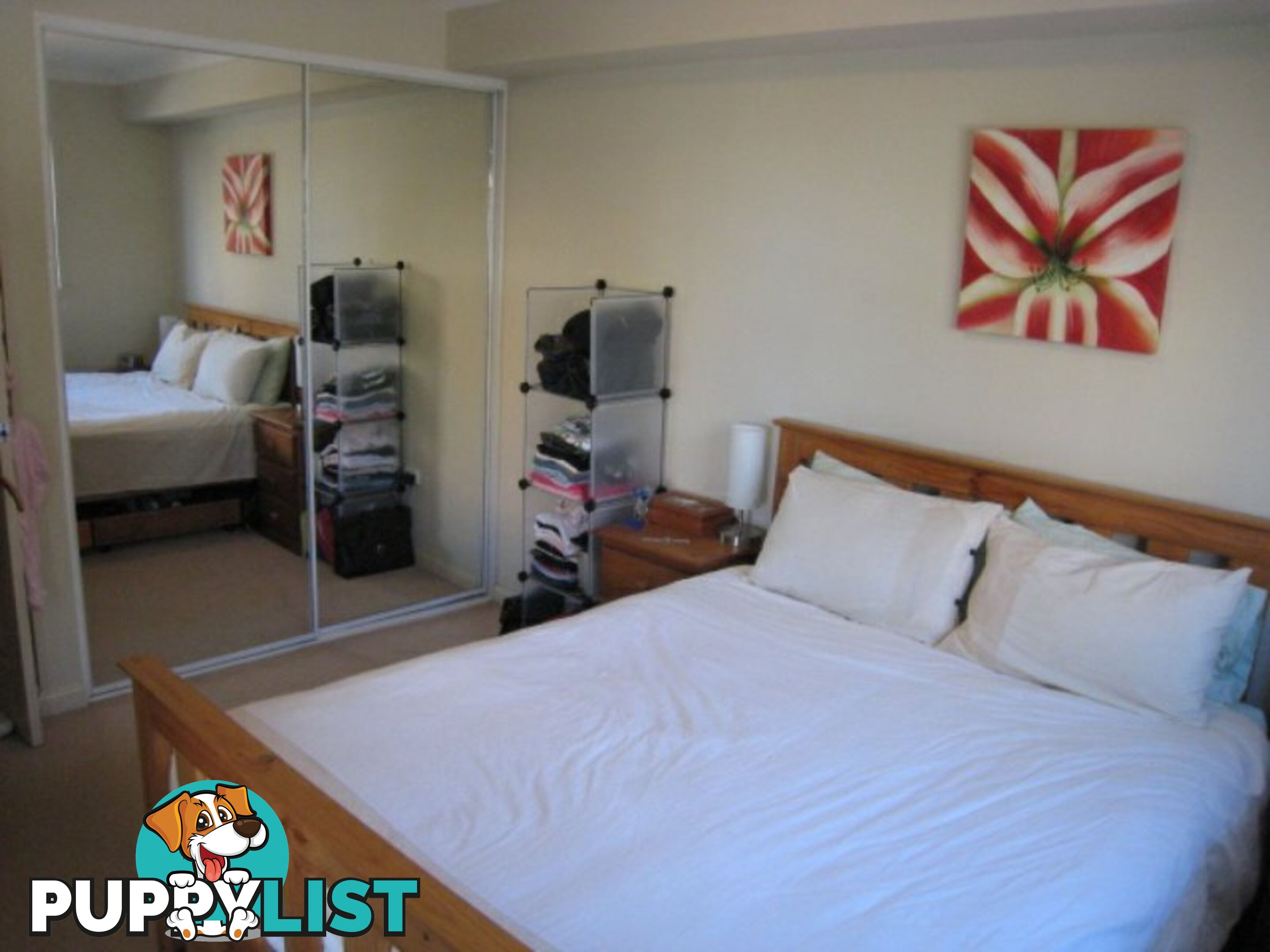 7/58 Park Street NARRABEEN NSW 2101