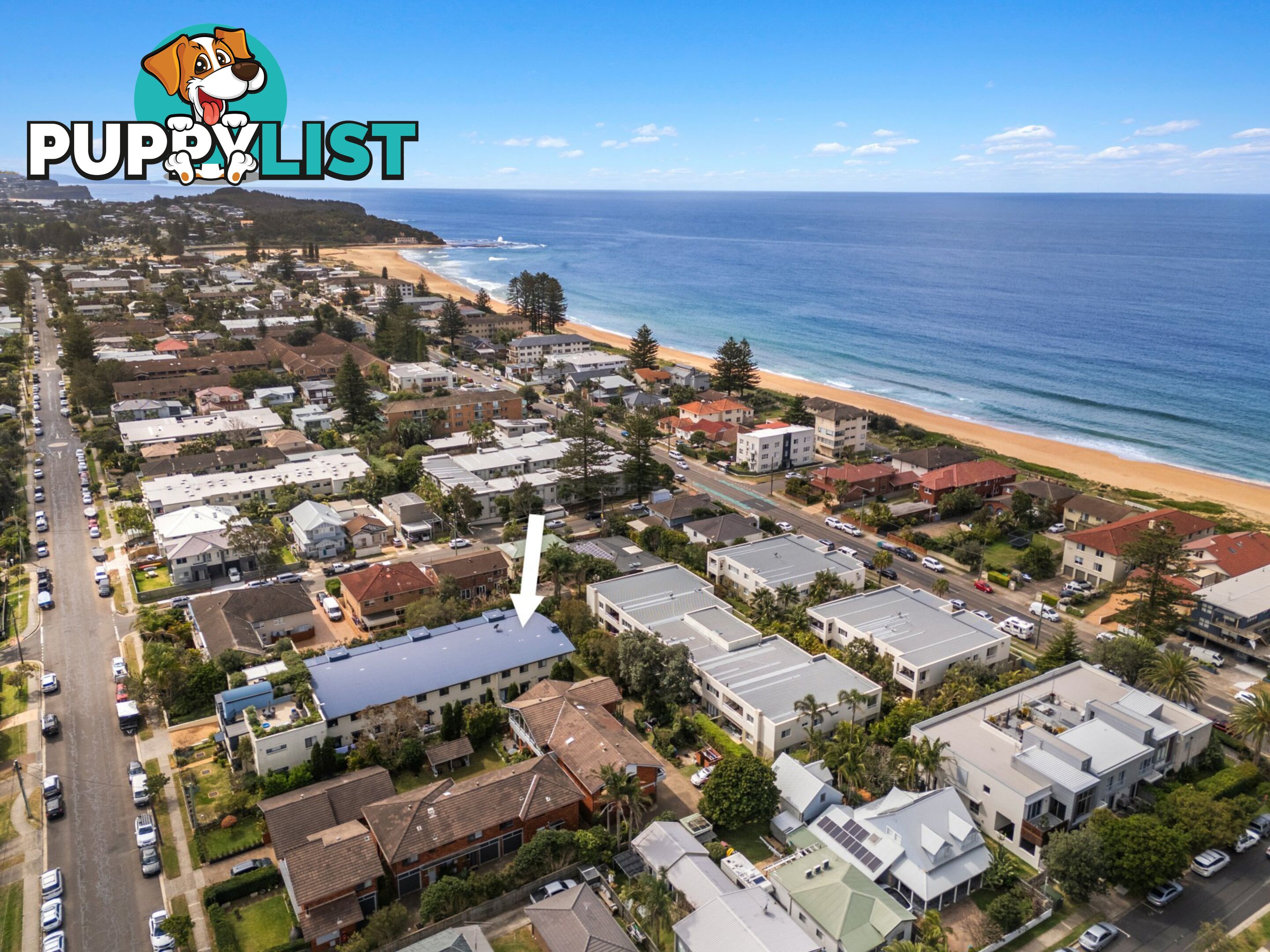 8/39-41 Lagoon Street NARRABEEN NSW 2101