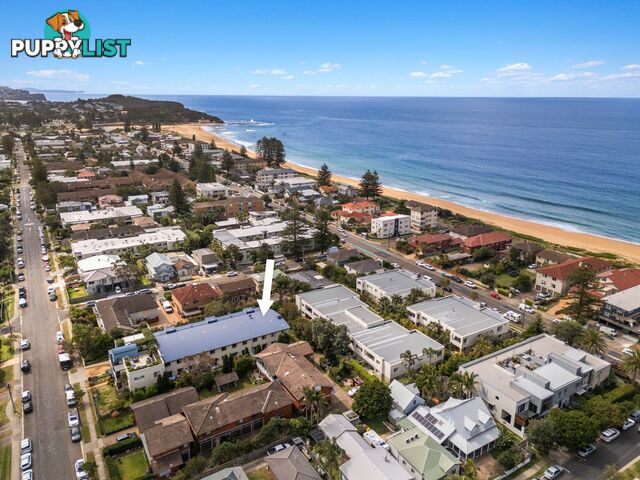 8/39-41 Lagoon Street NARRABEEN NSW 2101