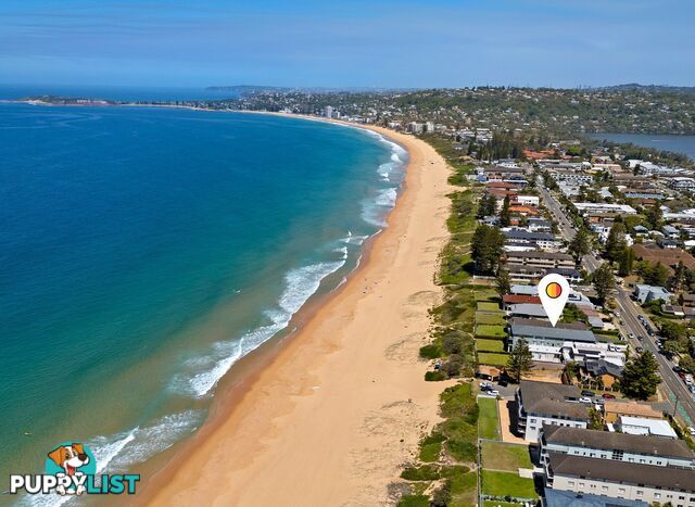 3/169 Ocean Street NARRABEEN NSW 2101