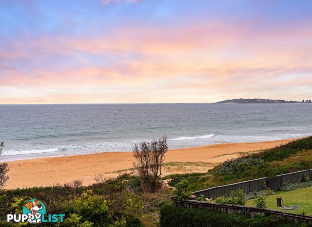 3/169 Ocean Street NARRABEEN NSW 2101