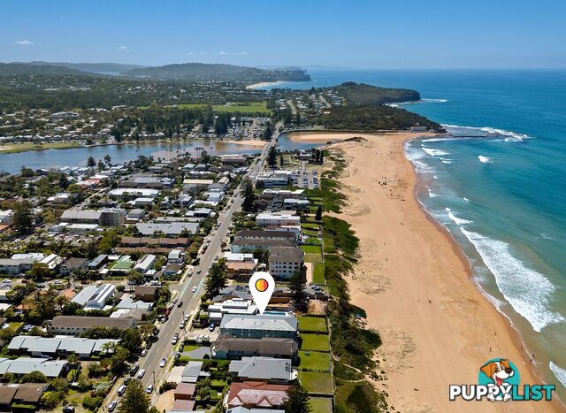 3/169 Ocean Street NARRABEEN NSW 2101