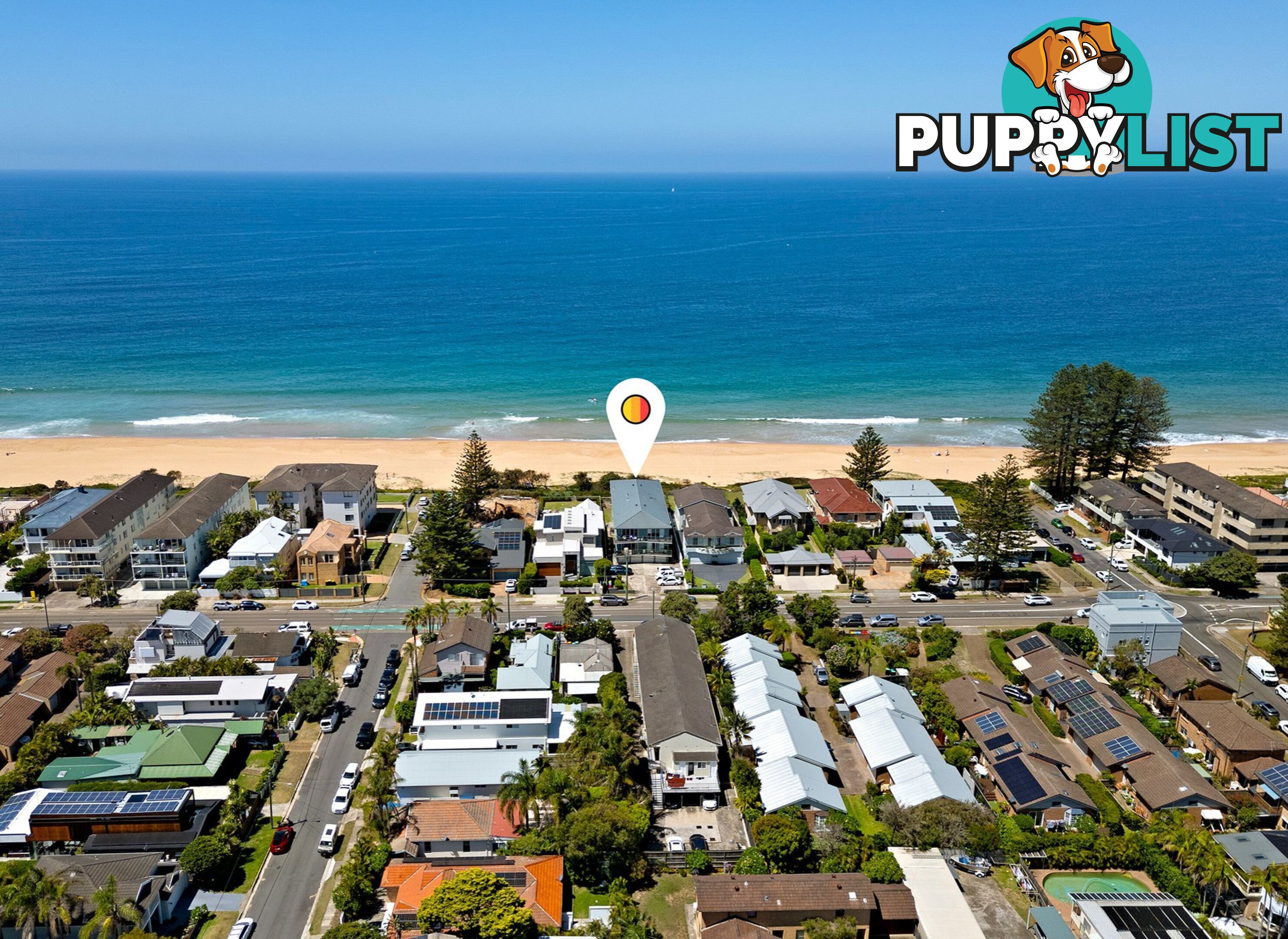 3/169 Ocean Street NARRABEEN NSW 2101