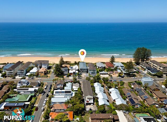 3/169 Ocean Street NARRABEEN NSW 2101