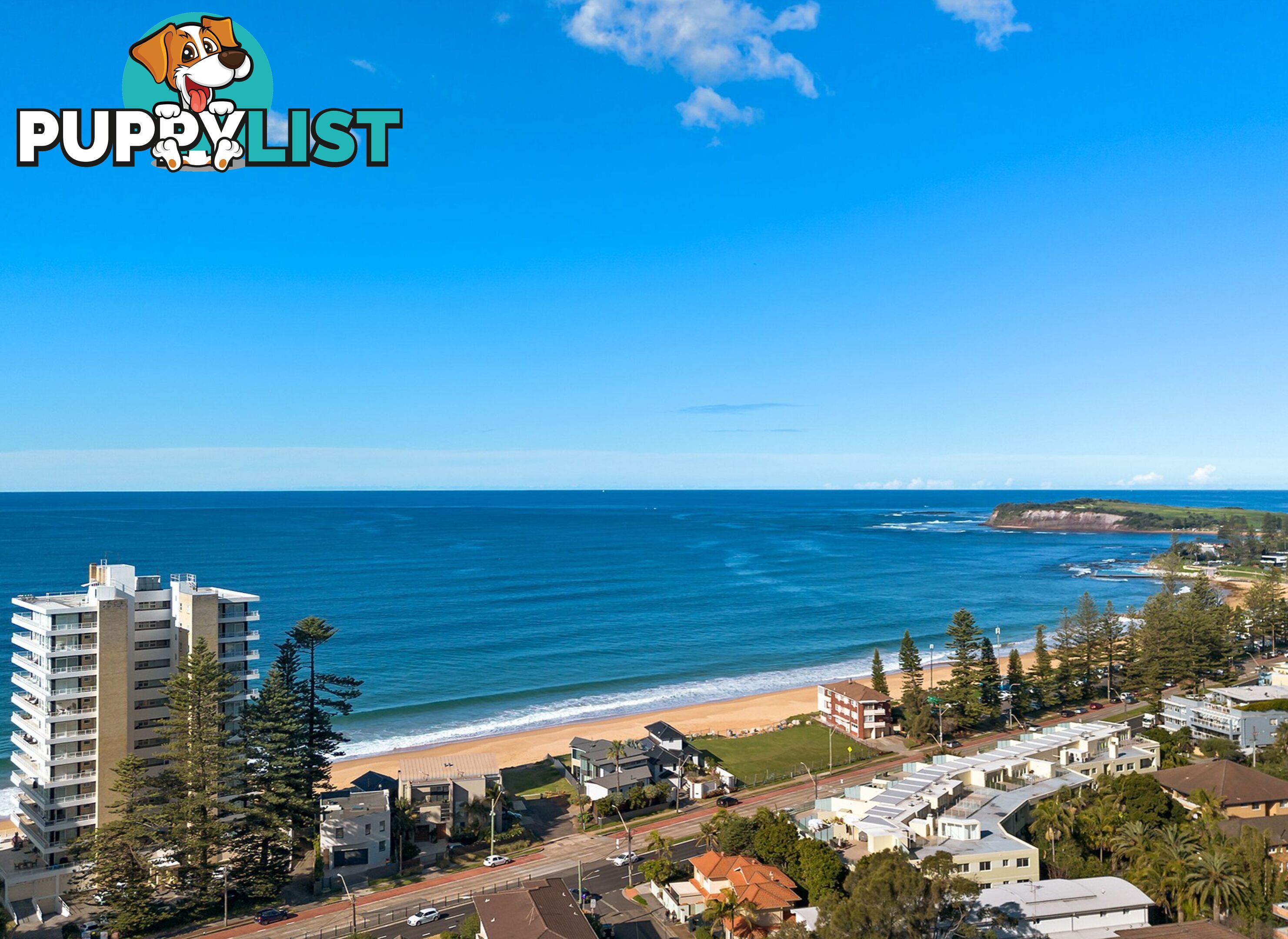 10/13 Frazer Street COLLAROY NSW 2097