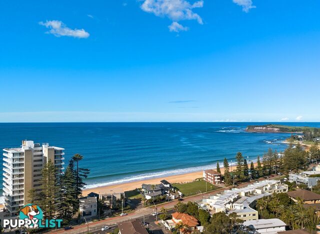 10/13 Frazer Street COLLAROY NSW 2097