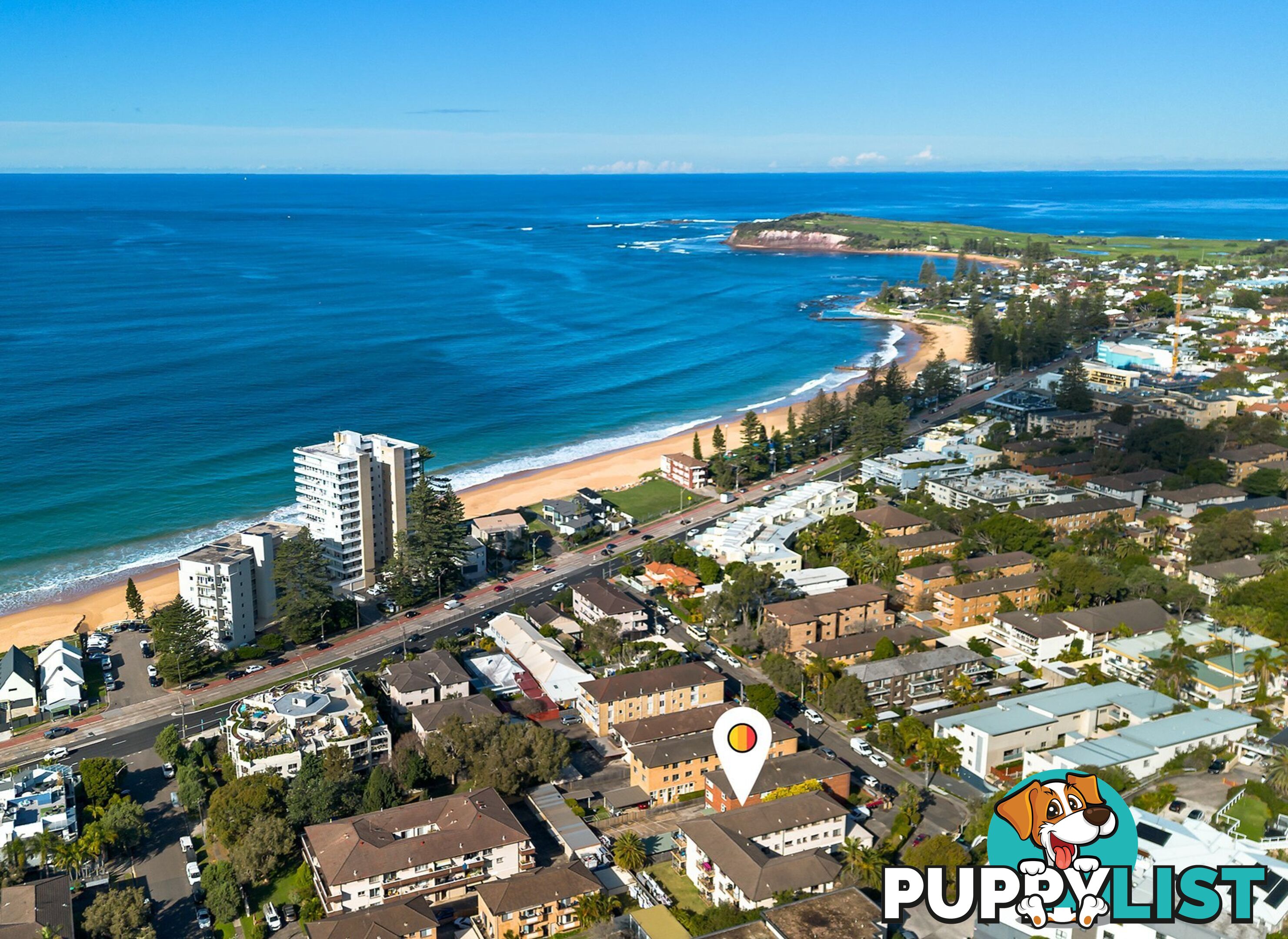 10/13 Frazer Street COLLAROY NSW 2097