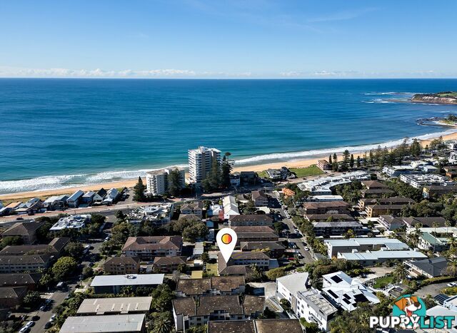 10/13 Frazer Street COLLAROY NSW 2097