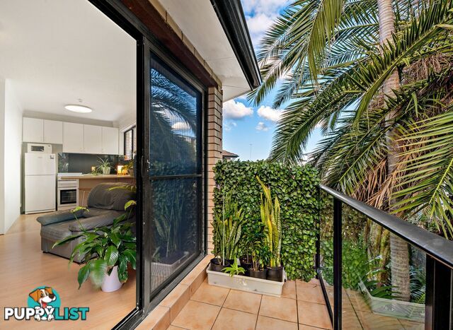 10/13 Frazer Street COLLAROY NSW 2097