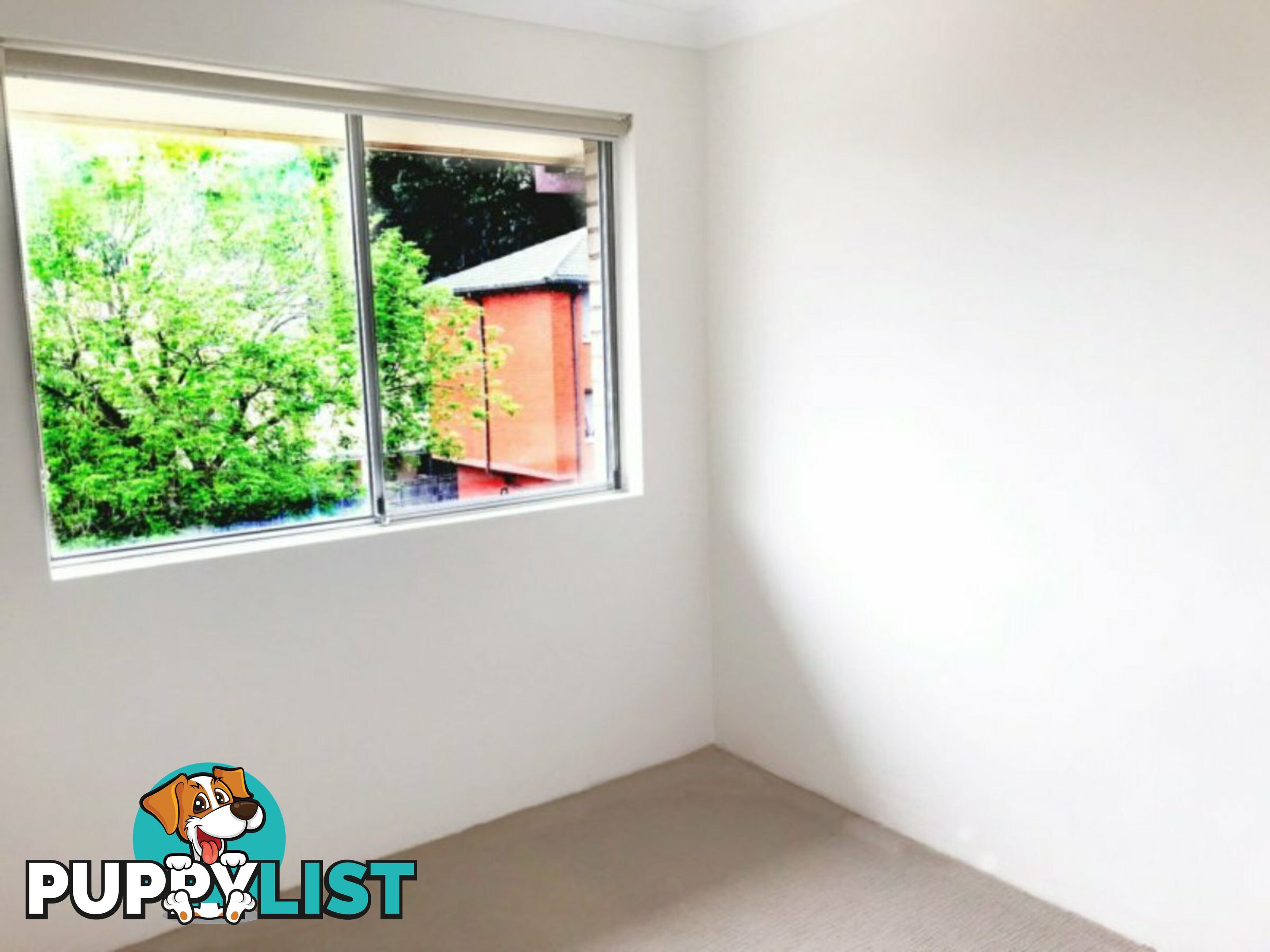 15/53 Pacific Parade DEE WHY NSW 2099