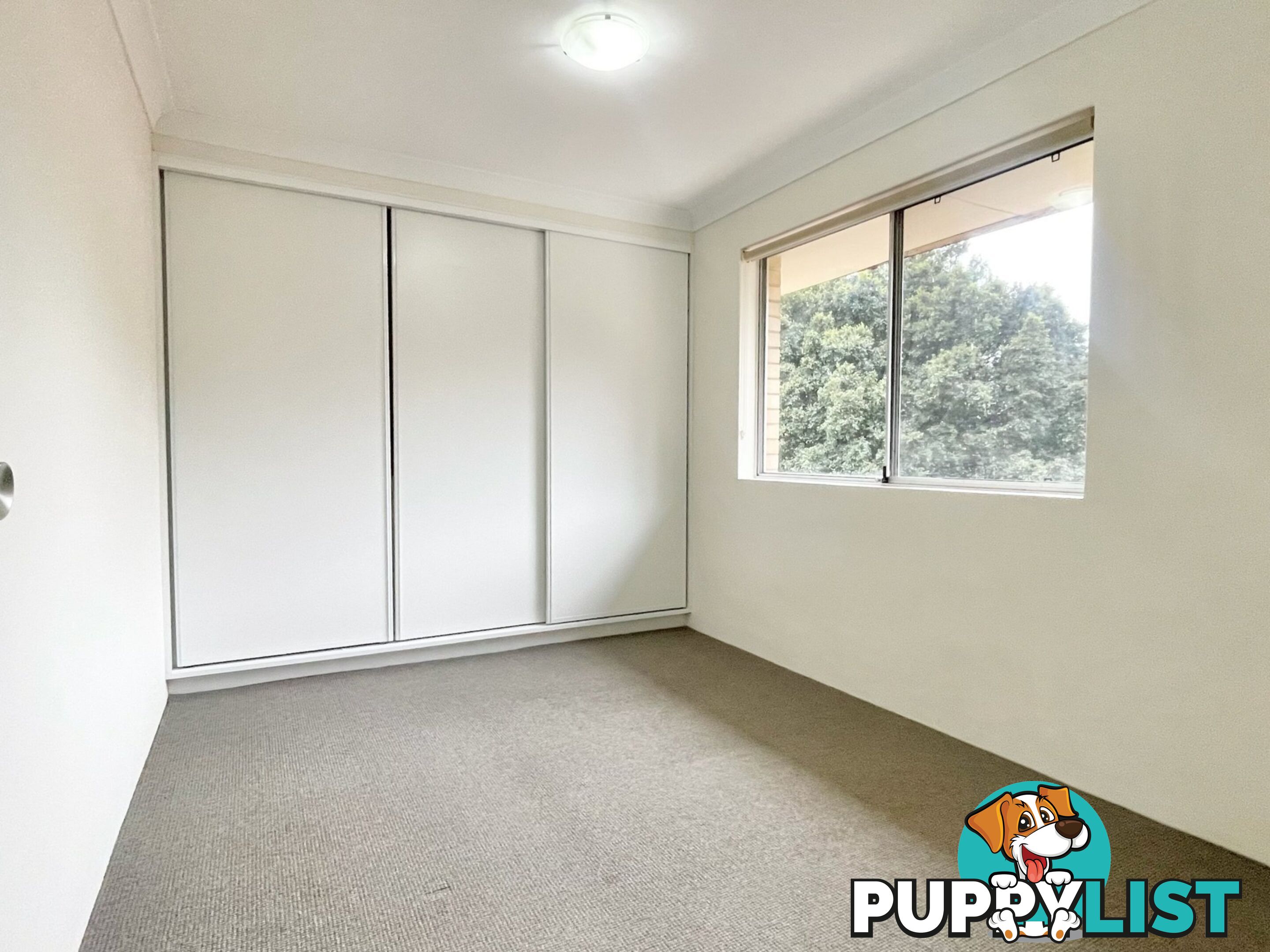 15/53 Pacific Parade DEE WHY NSW 2099