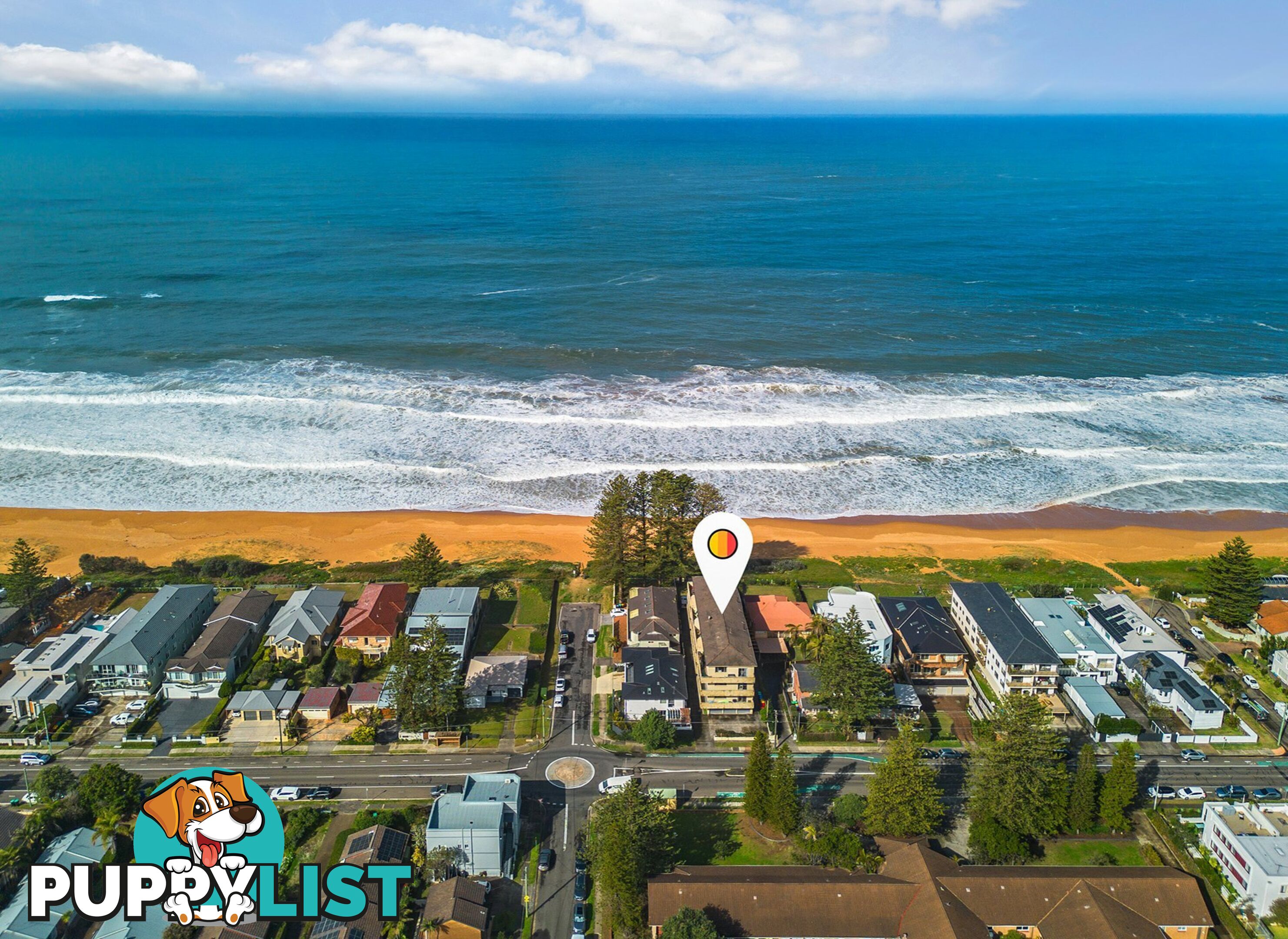 8/157 Ocean Street NARRABEEN NSW 2101