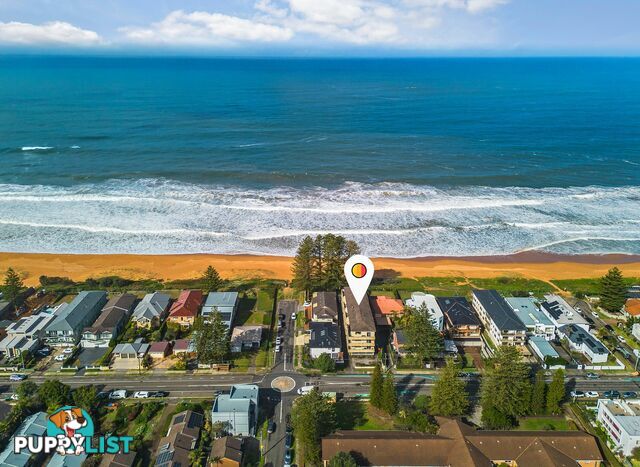 8/157 Ocean Street NARRABEEN NSW 2101