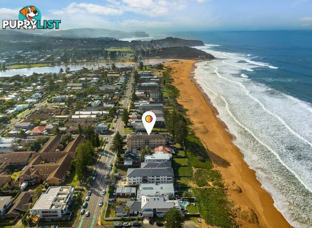 8/157 Ocean Street NARRABEEN NSW 2101