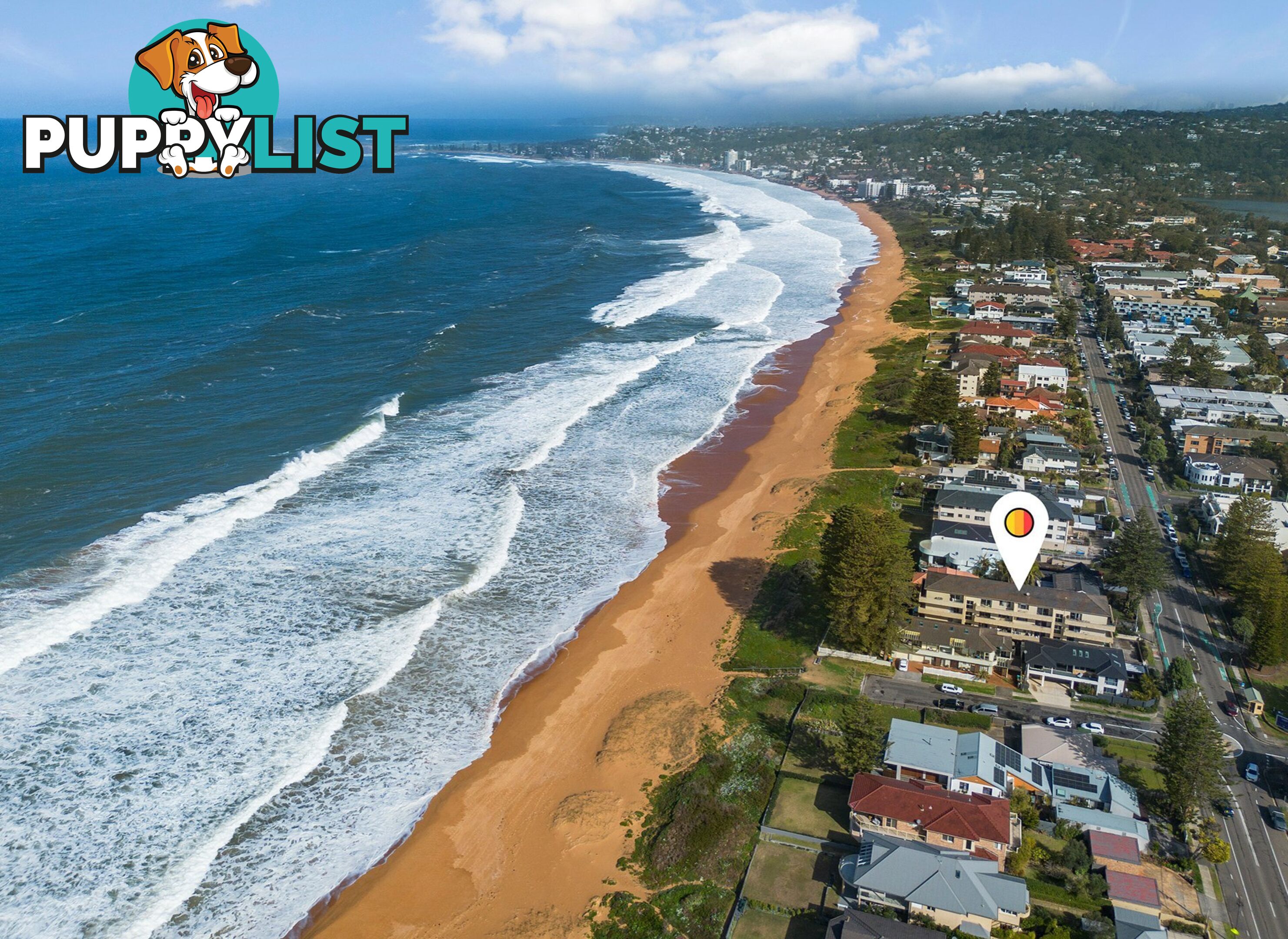 8/157 Ocean Street NARRABEEN NSW 2101