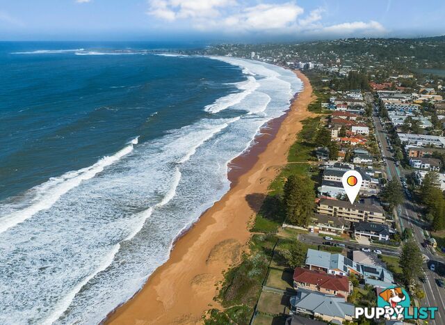 8/157 Ocean Street NARRABEEN NSW 2101