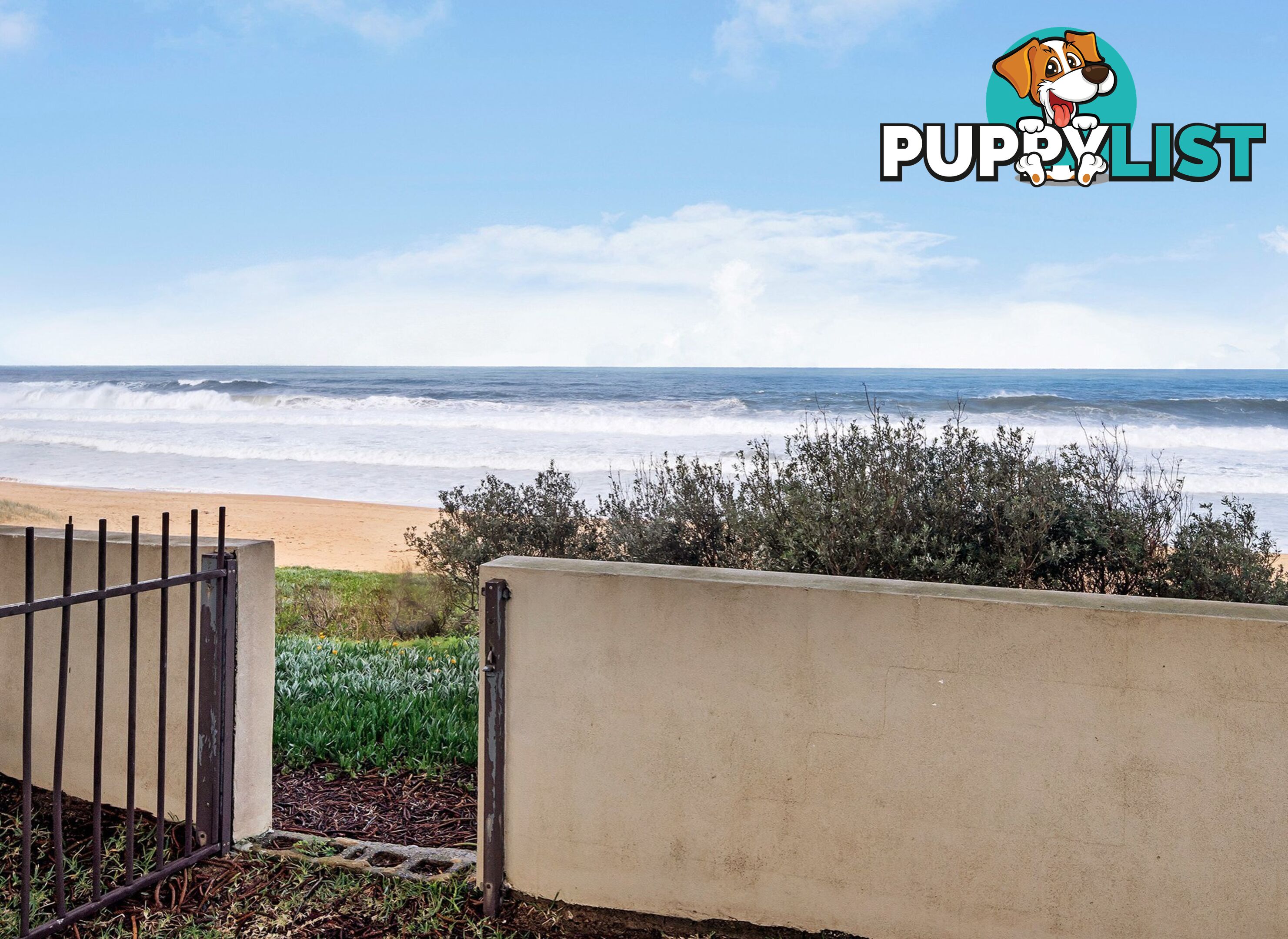 8/157 Ocean Street NARRABEEN NSW 2101