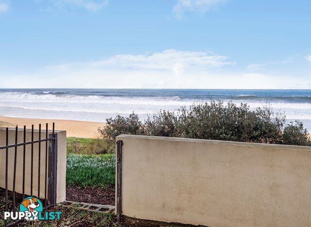 8/157 Ocean Street NARRABEEN NSW 2101