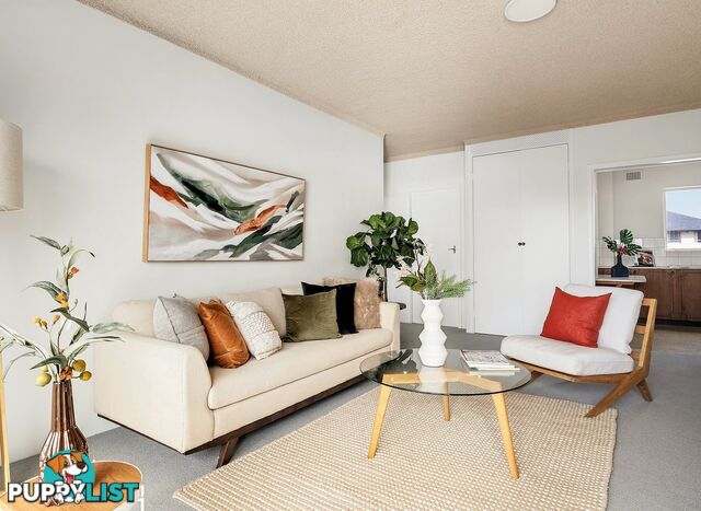 8/157 Ocean Street NARRABEEN NSW 2101