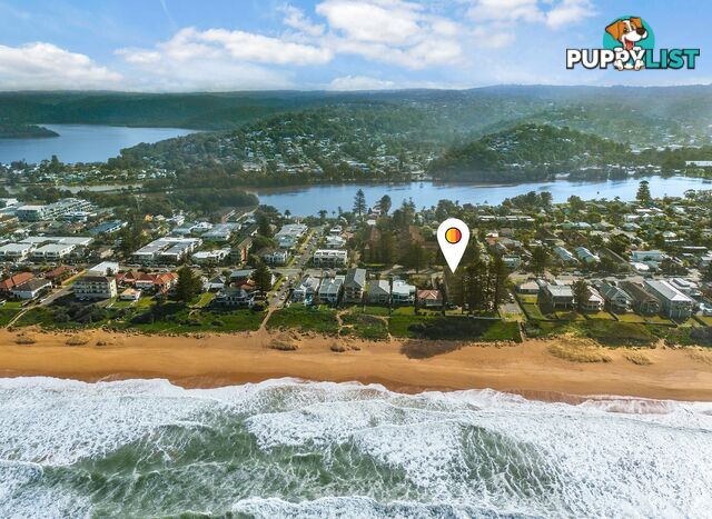 8/157 Ocean Street NARRABEEN NSW 2101