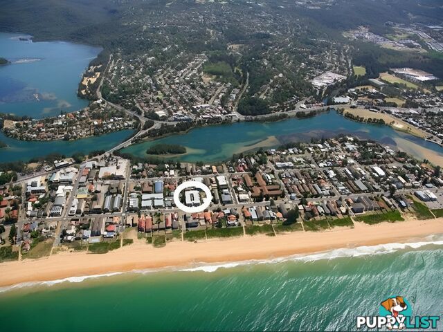 5/134-138 Ocean Street NARRABEEN NSW 2101