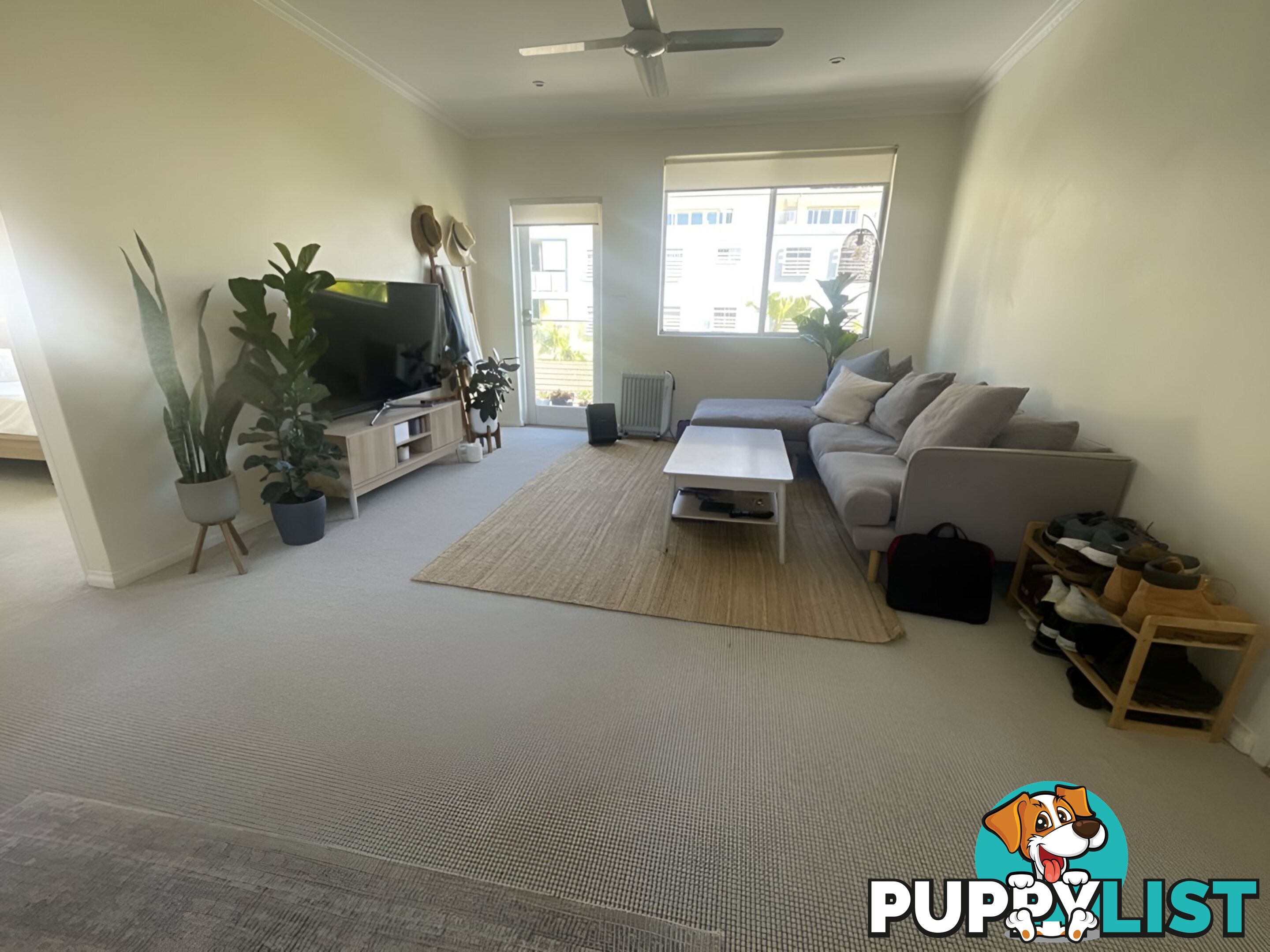 9/12 Frazer Street COLLAROY NSW 2097