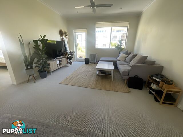 9/12 Frazer Street COLLAROY NSW 2097