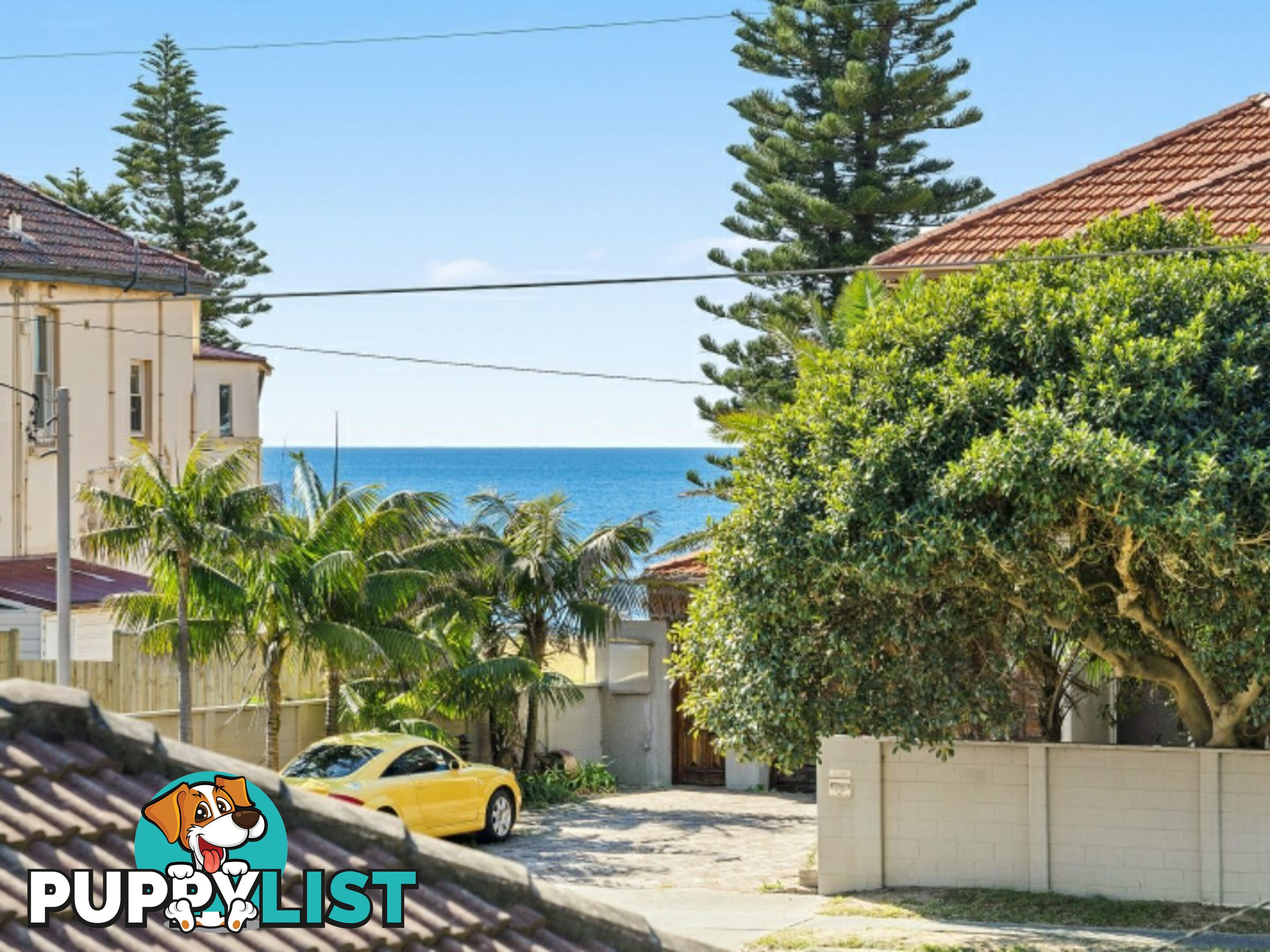 21/1235 Pittwater Road NARRABEEN NSW 2101