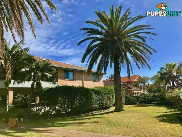 21/1235 Pittwater Road NARRABEEN NSW 2101