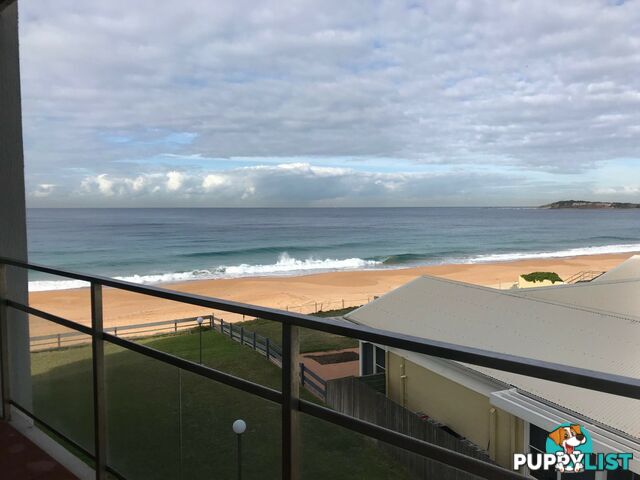 12/11 Ocean Street NARRABEEN NSW 2101