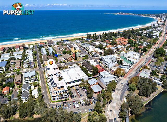 401/20 Wellington Street NARRABEEN NSW 2101