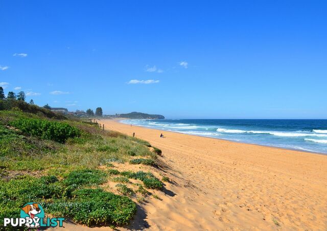 401/20 Wellington Street NARRABEEN NSW 2101