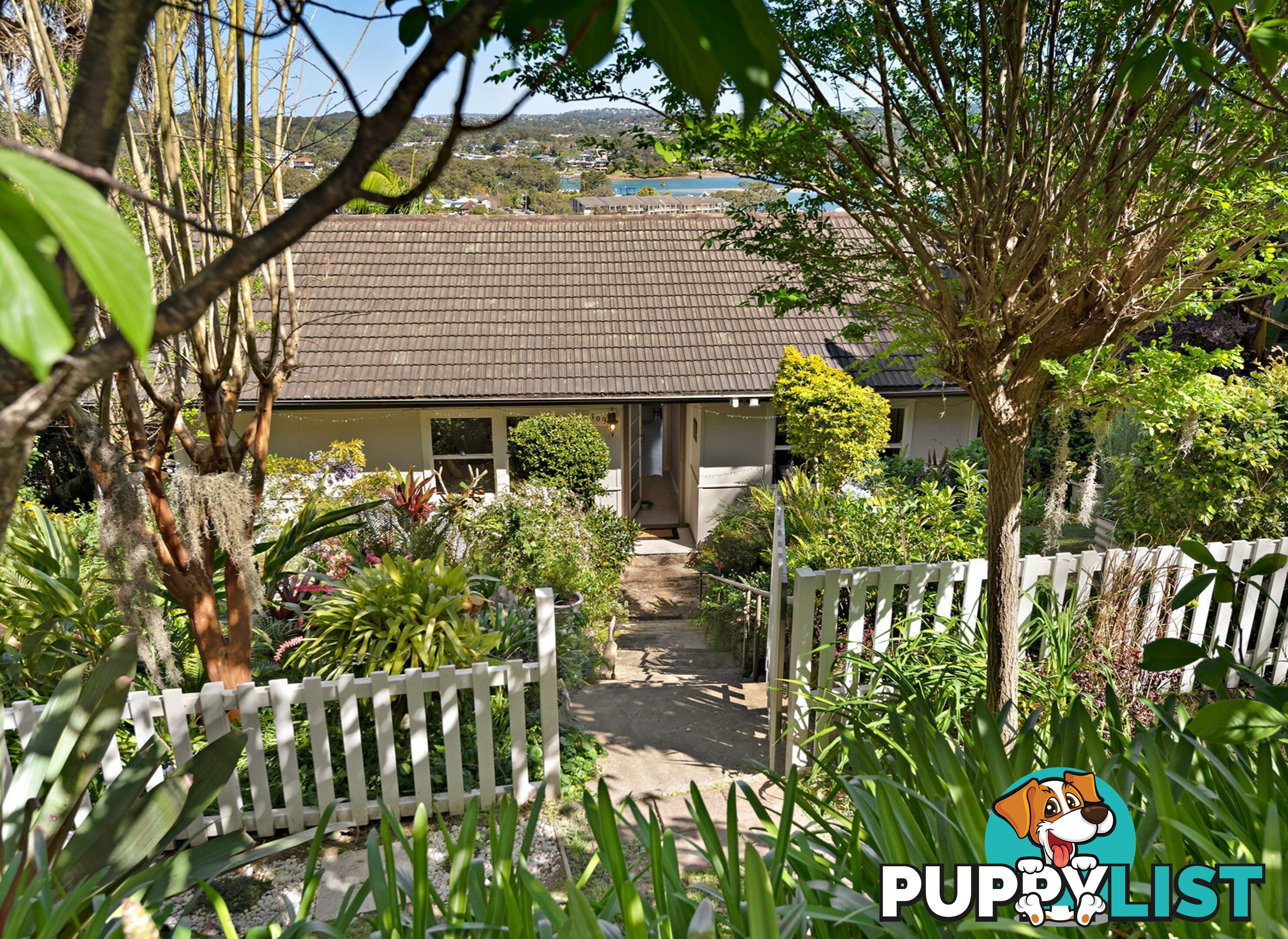 109 Wallumatta Road NEWPORT NSW 2106