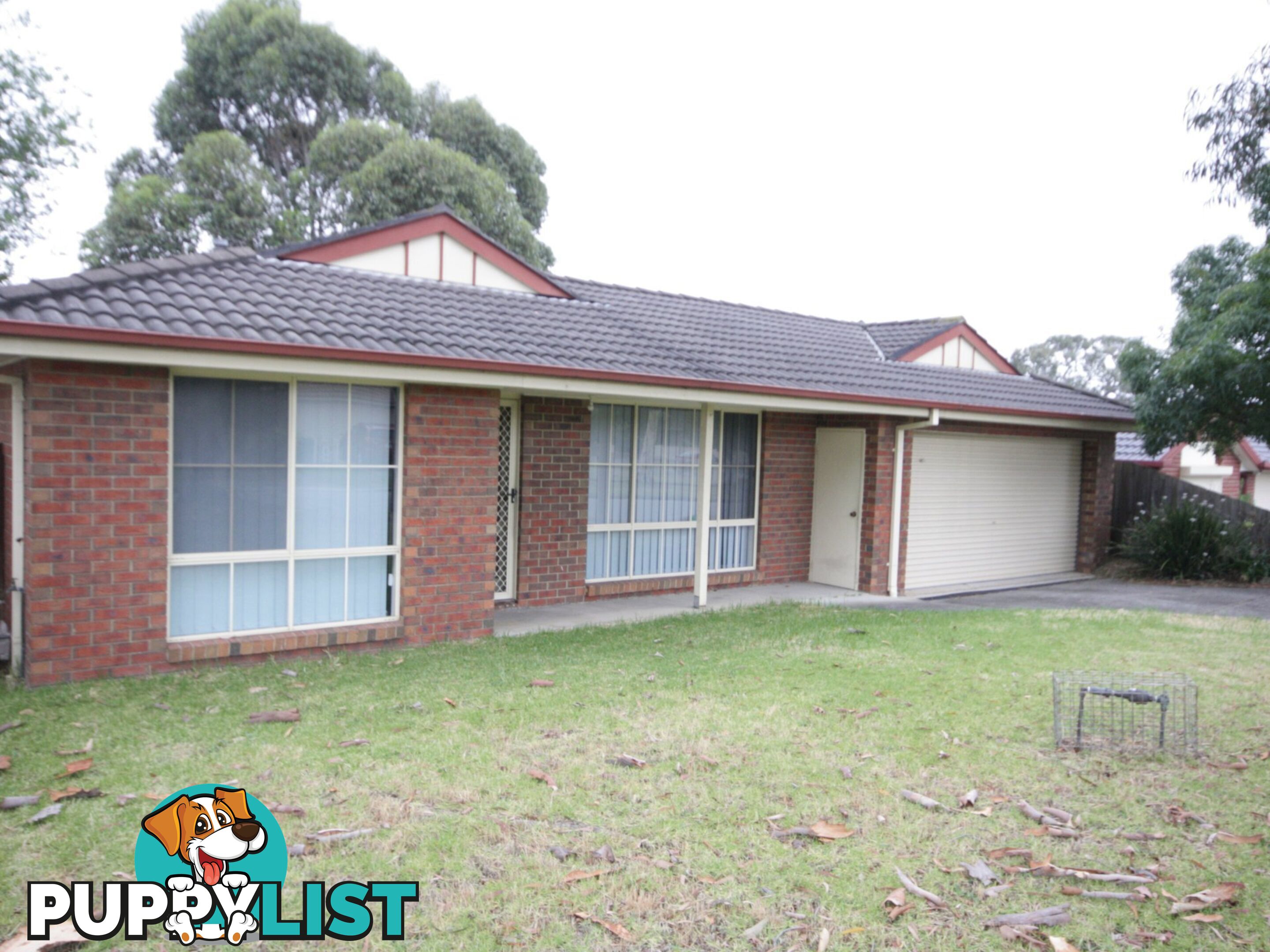 39 Hutchinson Dr LYNBROOK VIC 3975