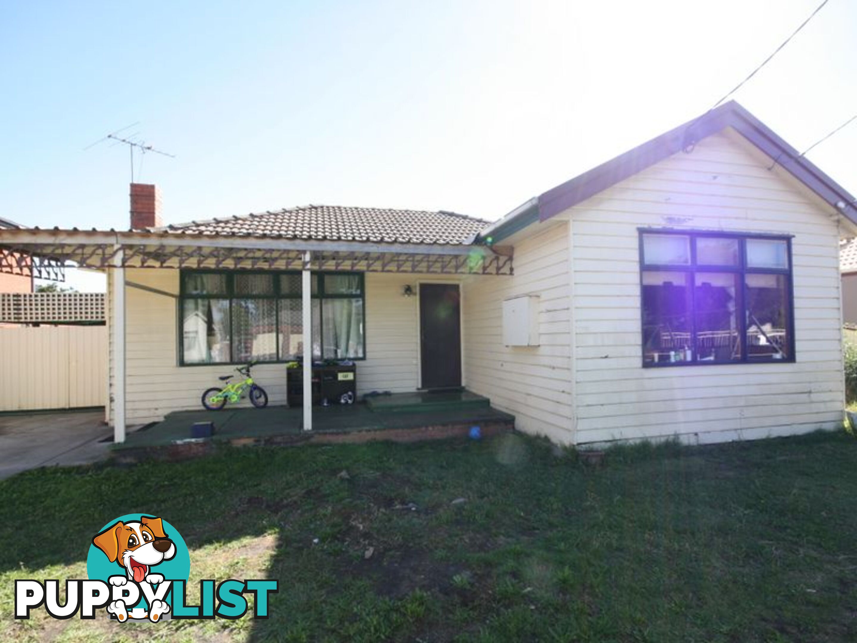 19 Peter street SPRINGVALE VIC 3171