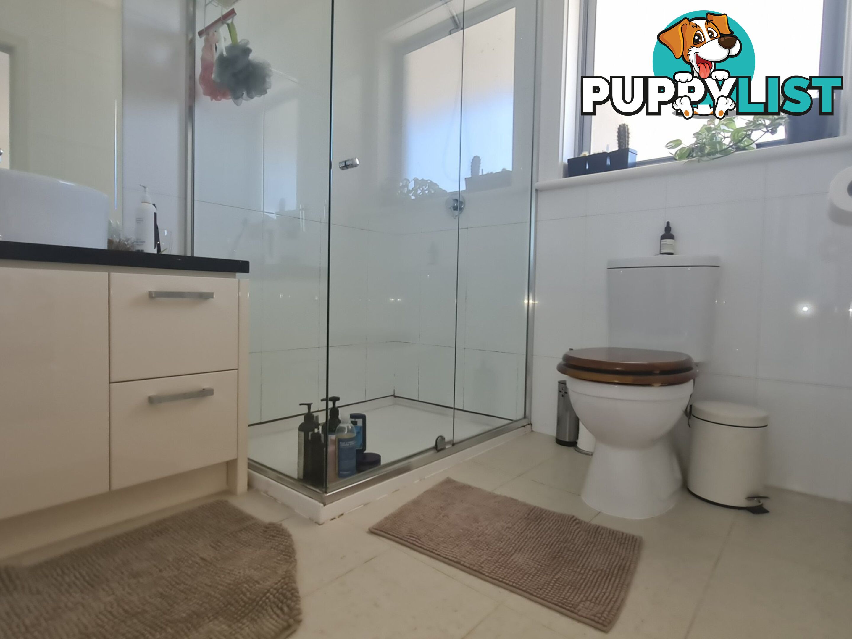 2/26 Ellen Street SPRINGVALE VIC 3171
