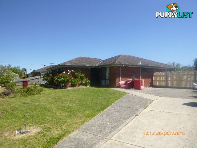 20 ELLINDALE CLOSE HAMPTON PARK VIC 3976