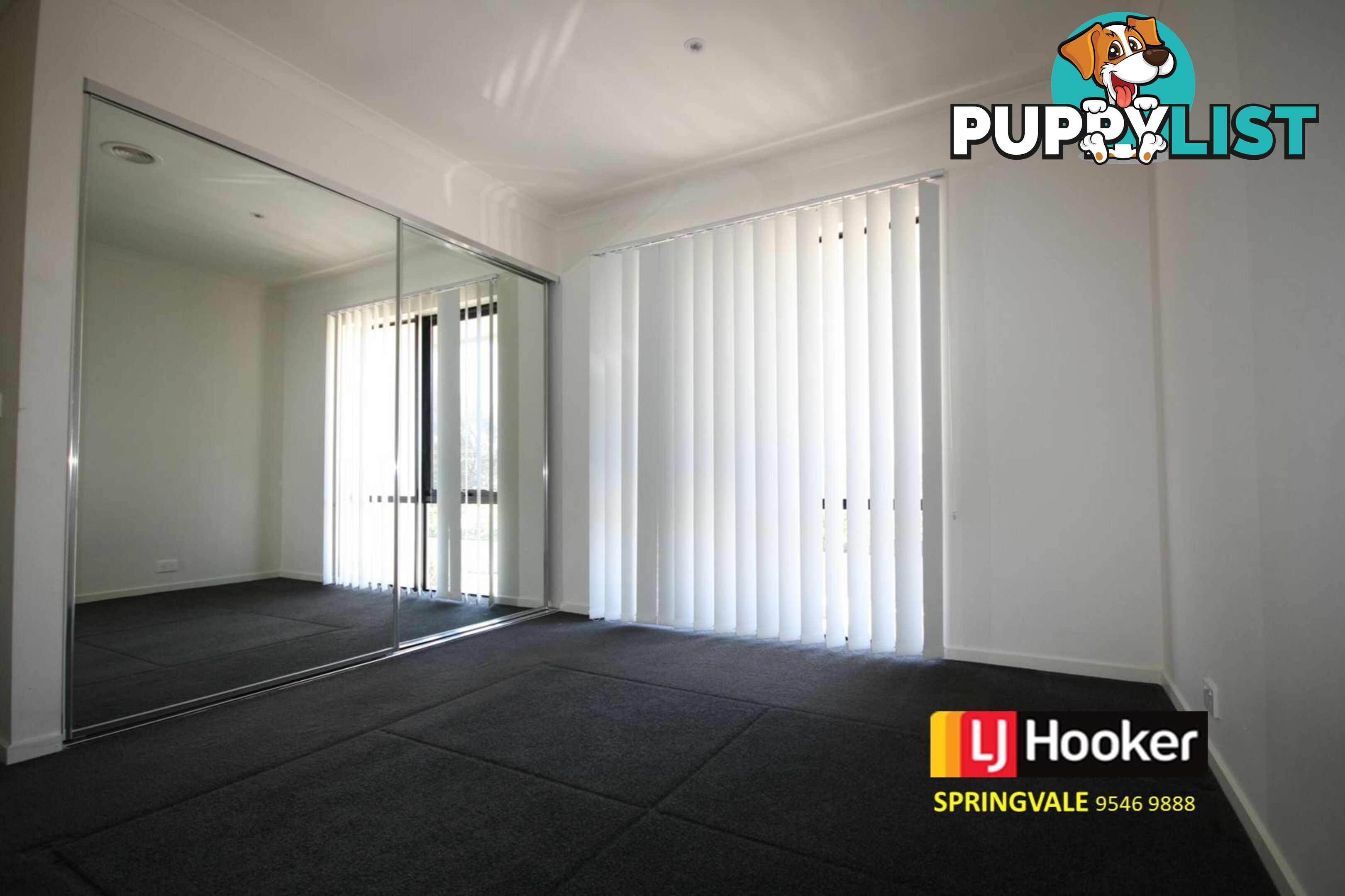 55 Villa Road SPRINGVALE VIC 3171