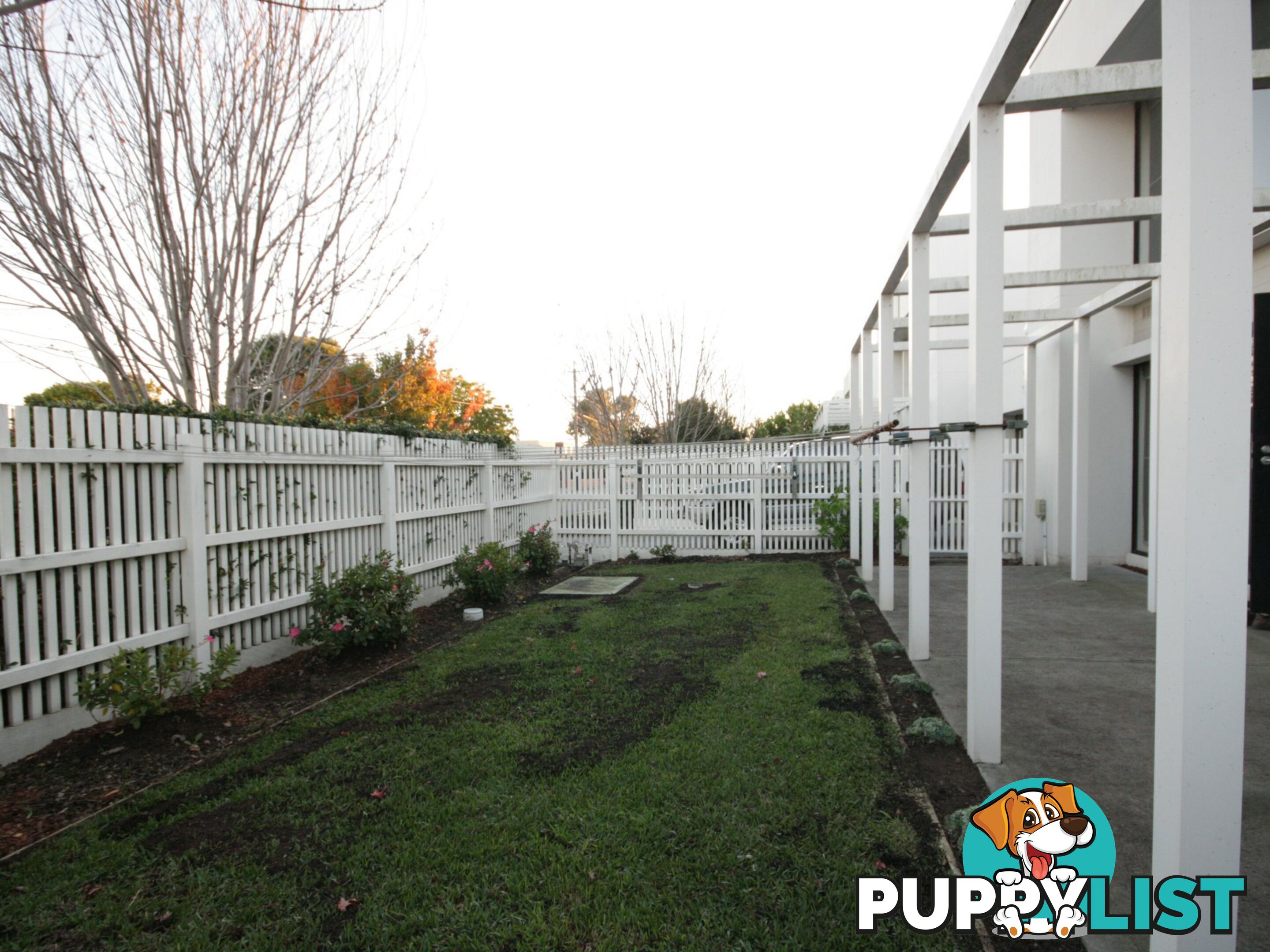 55 Villa Road SPRINGVALE VIC 3171