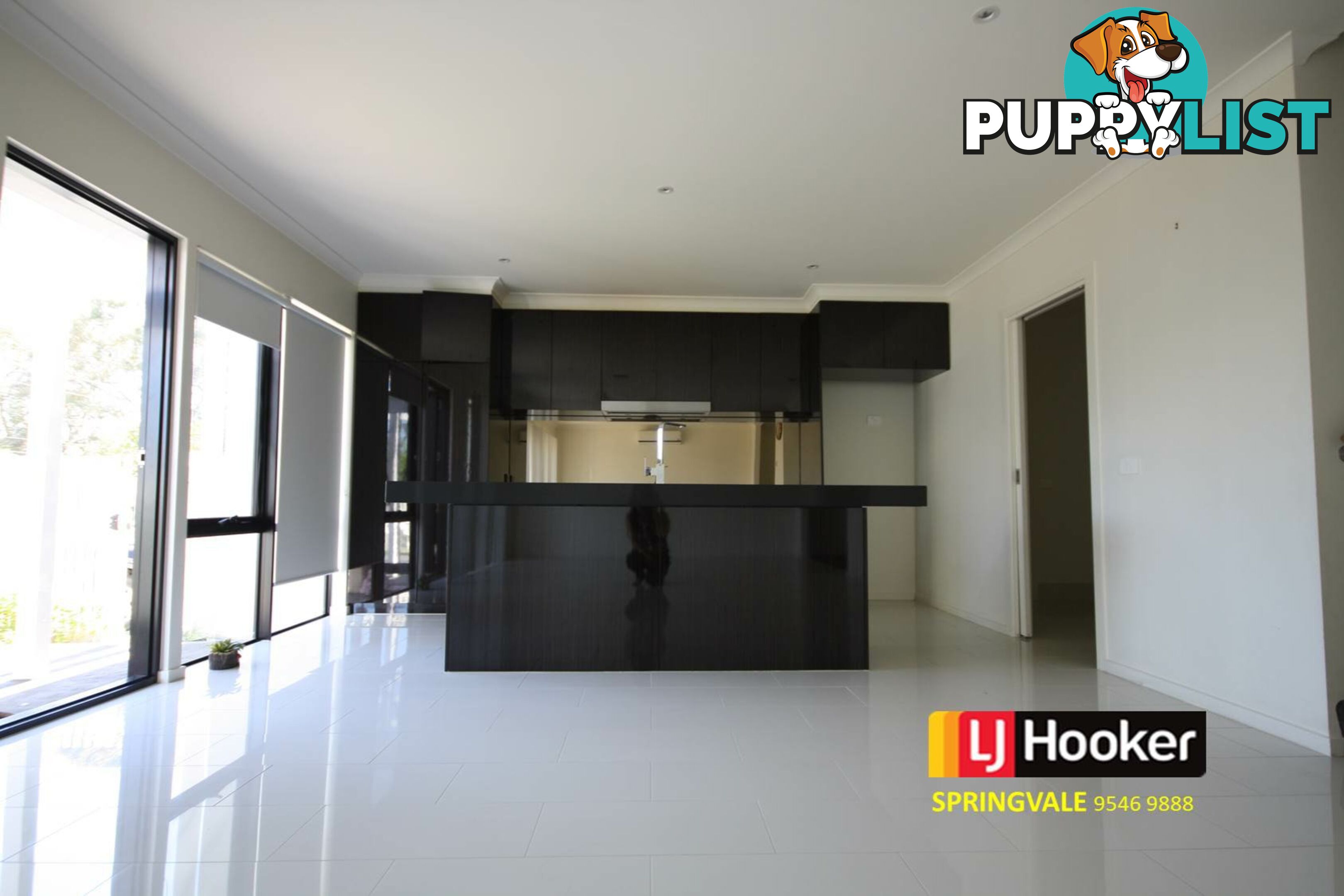 55 Villa Road SPRINGVALE VIC 3171