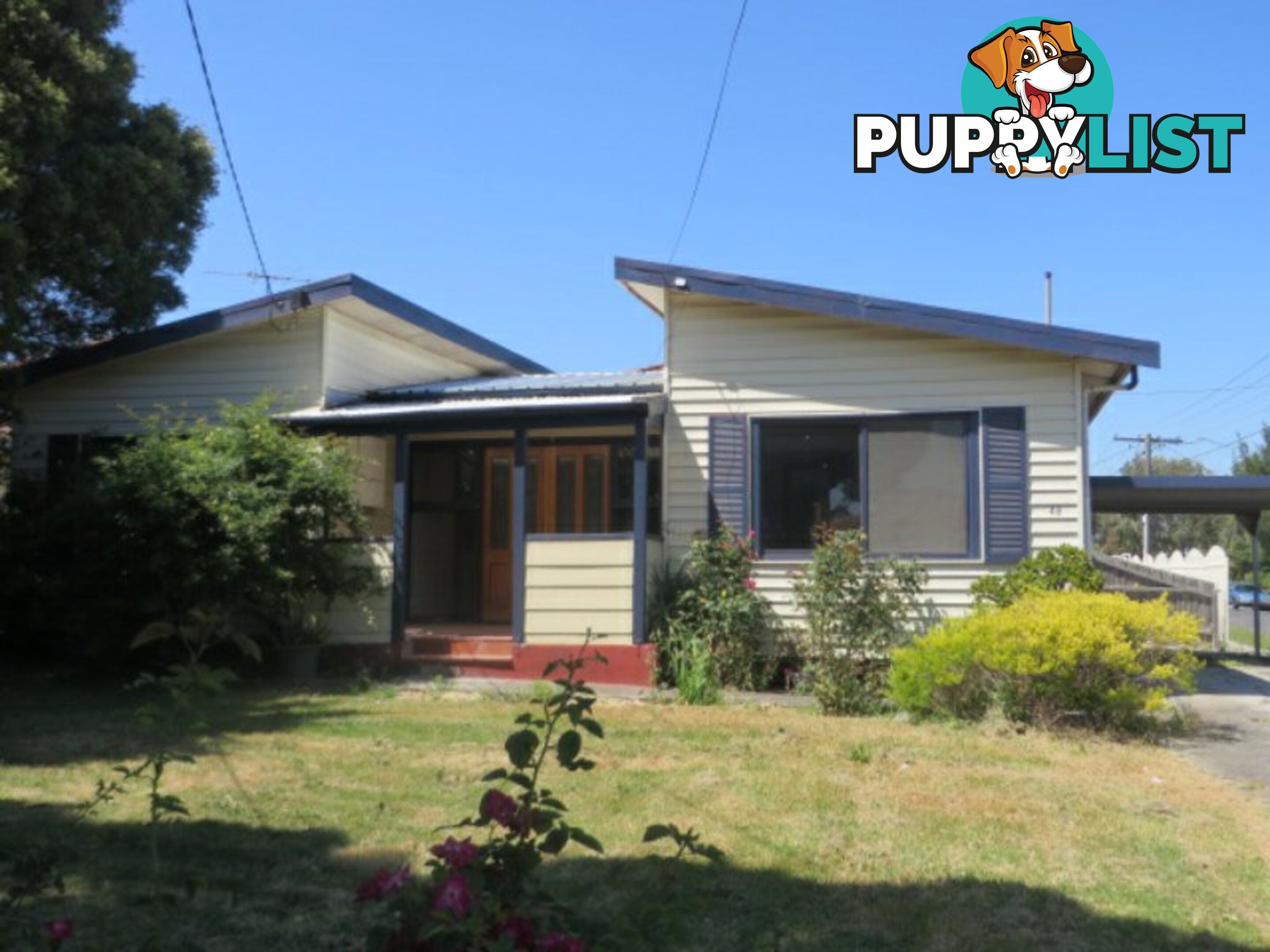 48 Lewis Street SPRINGVALE VIC 3171