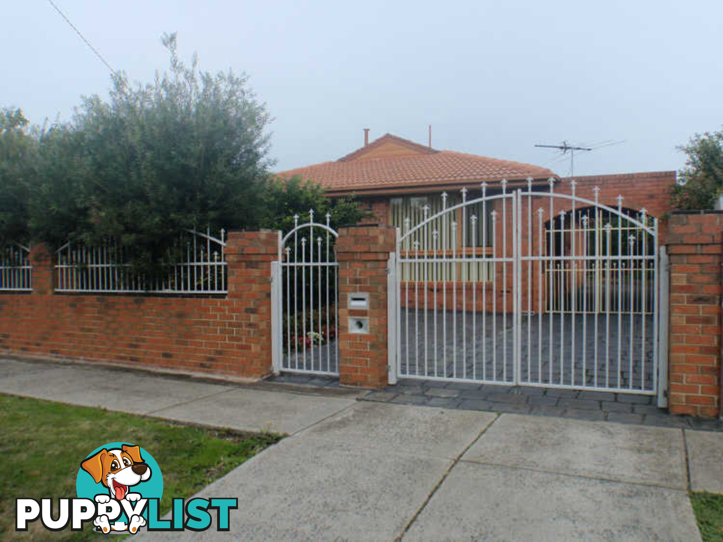 42 Murchison Crescent CLAYTON SOUTH VIC 3169